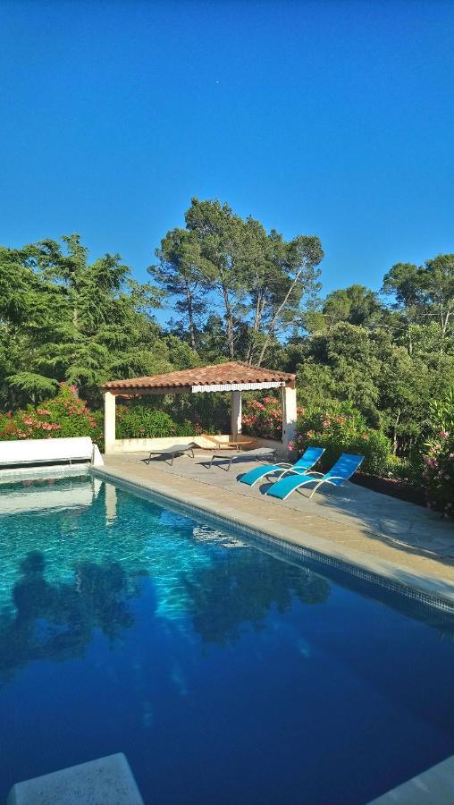 Lorgues, La Tourelle, Immense Piscine, Plongeoir, Vue, Au Grand Calme