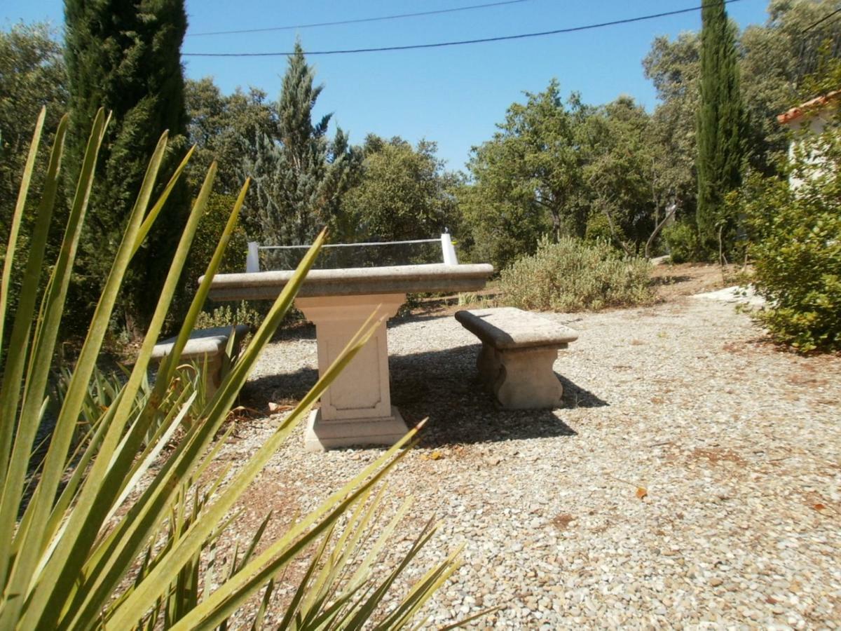Lorgues, La Tourelle, Immense Piscine, Plongeoir, Vue, Au Grand Calme Lorgues