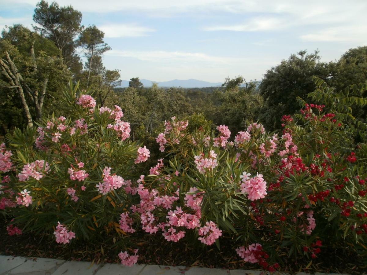 Lorgues, La Tourelle, Immense Piscine, Plongeoir, Vue, Au Grand Calme Holiday home Lorgues
